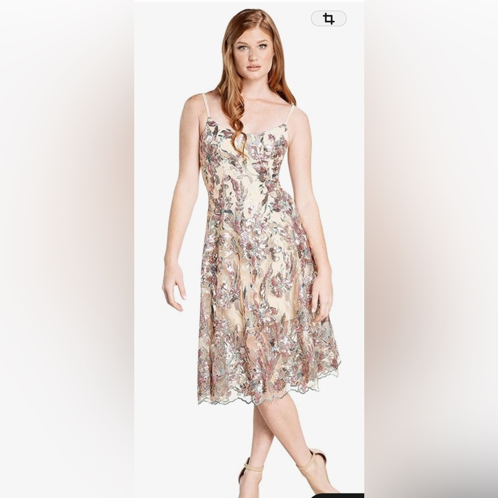 Dress the Population Pink and Cream Embroidered Midi Dress